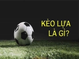 Kèo lựa là gì – Những bí quyết để thắng kèo lựa ít ai biết